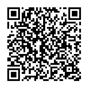 只有一个动作稍慢的被巴克终于单手持棍重重打在膝盖上惨叫着滚地二维码生成