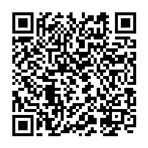 只有一片巨大的领域宛如一个巨大的绿色圆球一样笼罩着方圆千里的一片区域二维码生成