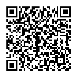 只有一群劫后余生的人族战士和死囚犯们用见鬼一样的表情看着他二维码生成