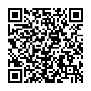 只有万吨级以上的重型巡洋舰和北风舰队的主力铁血级战列舰二维码生成