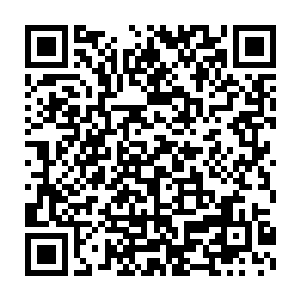 只有三个叶子的青草放在其他几颗草药中根本就没有任何出众的地方二维码生成