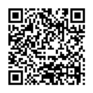 只有主人才能够带领众生破去罗刹界施加在道魂界上的枷锁二维码生成