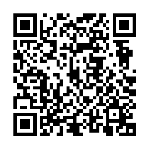 只有人类的实力强大到一定的程度之后跟龙族结合就会产生后代二维码生成