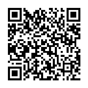 只有从军中晋身的平民才会到了八级还在用军中格斗术二维码生成