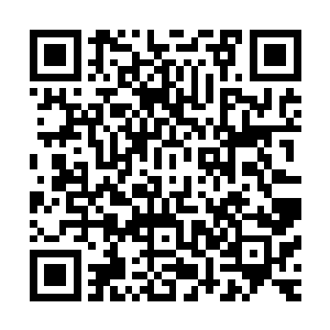 只有你才会打算细水长流……我本来就是打算将它连根拔起的二维码生成