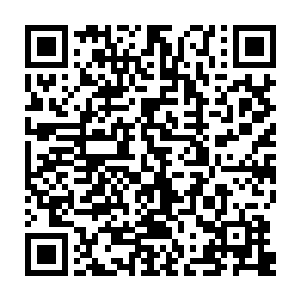 只有修炼到半灵以上境界的人才能飞到十万亿丈以上的人才能看到神州的全貌二维码生成