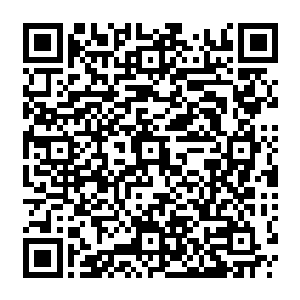 只有厨房中传来的菜刀在砧板上哒哒哒哒哒的切菜声那和隐隐传来的一股饭菜的香味二维码生成