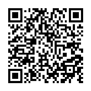 只有少数人上午的时候看到姚忠举赶着马车带梁娇娇出门二维码生成