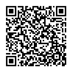 只有扮演着人类的机器人……你不觉得这些机器人的话似乎在暗示什么吗二维码生成