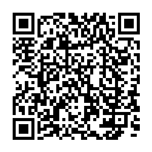 只有极少数的种族才存在这样的逆天神文……属于真正的可遇而不可求的二维码生成