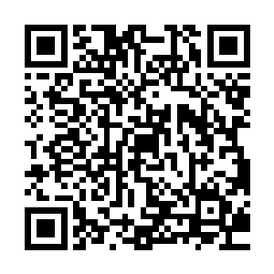 只有漂浮着的法宝表示着这里曾经有一百多名万象境修士存在过二维码生成