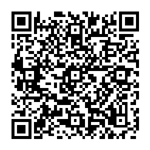 只有第十名的两千九百万才比苏文多那么一点点――我们对苏文的收入是保守估计二维码生成