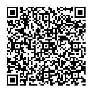 只有经历过当初的时候无极大帝的时代的人才会明白那种被镇压的连头都抬不起来的滋味是多么的苦涩和无力二维码生成