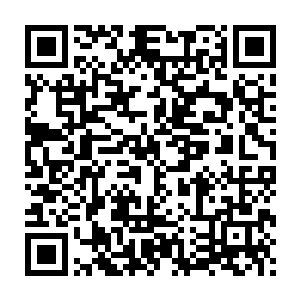 只有规格极高的青皇血才能让她这个血族从死亡线上掠过一线生机二维码生成