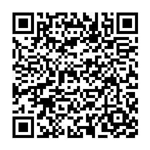 只有这强行翻转黎明黑暗力量谱系的行为才是触动世界本源的逆天之行二维码生成