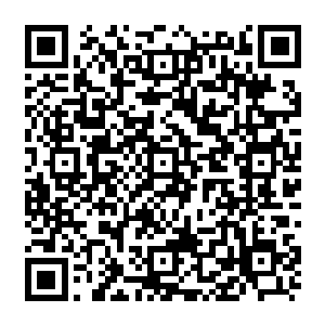 只有这样极端环境下的训练才能达到特训的目的我们训练的目的就是不用眼睛看球二维码生成