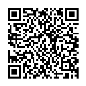 只有那枚狭长的血色团子轻轻的飘落在柔软蓬松的墨绿海藻上二维码生成