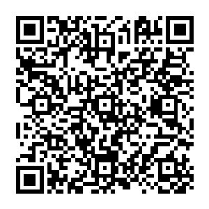 只有那种已经扎根在试炼之路上在试炼之路的城池中已经是安家生子的才被称为原住民二维码生成