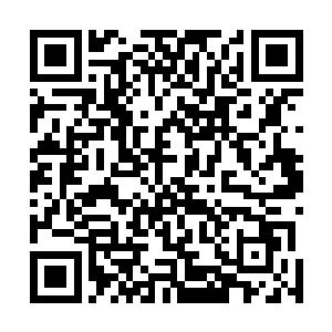 只比半身人目前在用的用来计数的小木棒高级一点点而已二维码生成