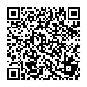 只添加了白色晶体而没有添加三种昂贵药材的兽皇仙罗丹炼制过程步入了正轨二维码生成