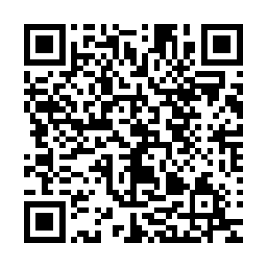 只留下了临海的那一边……秦方他们便住在海边的一家酒店处二维码生成