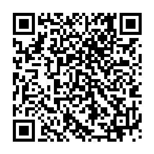 只看那不断膨胀的穆模样叶璃毫不怀疑最后它们很有可能会完全腐蚀大半个墓室二维码生成