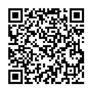 只能够像个木桩一样待在那里被林父和林母全部都给扫荡了二维码生成