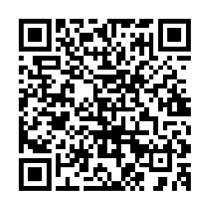 只能将他们肉身的力量和血脉中对元素的操控本能发挥到极致二维码生成