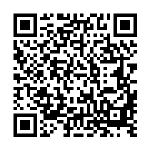 只能开启五分钟魂意的絮怀殇无疑会打得更加积极一些……二维码生成