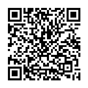 只能眼睁睁的看着姚满屯一家给卫成和苗凤娟的牌位磕头二维码生成