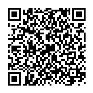 只能硬着头皮看着自己的一只手在他的掌心里慢慢的从苍白变回到红润二维码生成