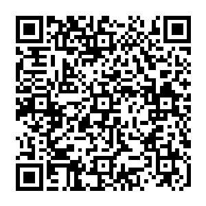 只能让雪如楼一脸夸张的拿出当初在修真界被培养成掌门的那种厚脸皮的表达自己的二维码生成