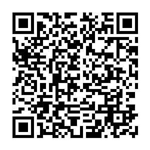 只要上世界历史课都必须考到的有角族和无角族也是东大陆和西大陆的第一契约二维码生成