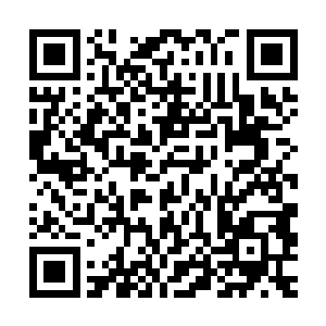 只要他消化的速度快慢和容量多少不比攻击他的速度慢和容量少二维码生成