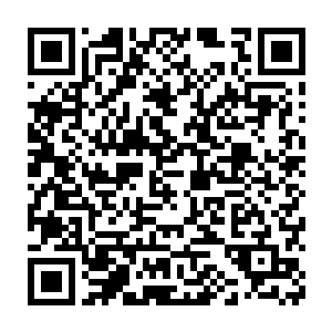 只要你们获取知识的途径仍然和这套令人反胃的测试系统捆绑在一起二维码生成