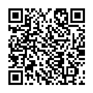 只要你给我帮我弄一份你和李枫合谋杀人的证据就行了二维码生成