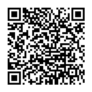 只要凌菲给他讲过一遍的草药的特征和药性他都能记得的分毫不差二维码生成