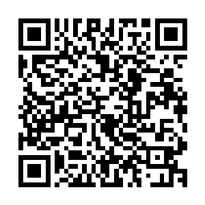 只要和碾死一只苍蝇一样的用自己的脚掌猛的踏下去就可以了二维码生成