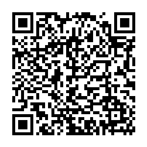 只要在这里把你的数据毁掉……那in的内部纷争也会就此止息了吧……二维码生成