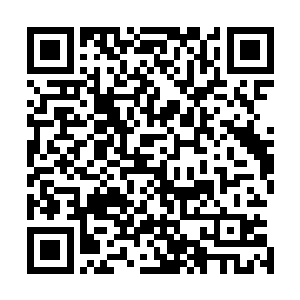 只要她今日助端木璃守住了神殿圣主这个位置和神殿的安危二维码生成