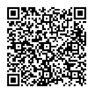 只要完成封印将三十六件神铠分散不管陈凌是死是活都不可能拥有和他对抗的力量了二维码生成