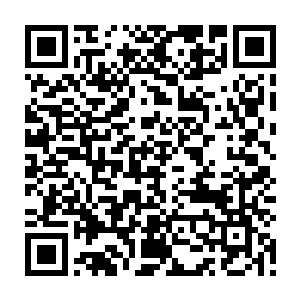 只要我……我把耳钉放到雷先生你卧室的浴室里就可以了……我一开始是拒绝的二维码生成