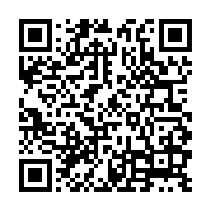 只要正确掌握了技术方法也可在一定范围内运用雷法二维码生成
