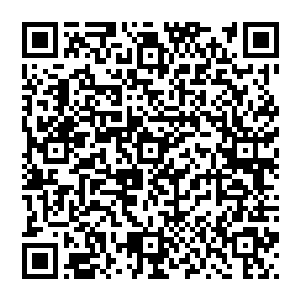 只要给我们足够的时间　我们迟早也会成为十级佣兵团　你们也只不过是成立的时间长了才上的十级罢了　二维码生成