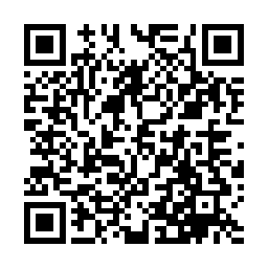 只要薛刚脑袋没有长包是绝对不敢对着苏凡有任何行动的二维码生成