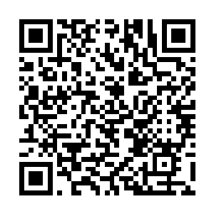 只见他们心中最钦佩的柳少府正与一群贵人信步前来二维码生成