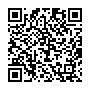只见在晨晨的脸上一张猫脸清晰无比的出现在了我们的面前二维码生成