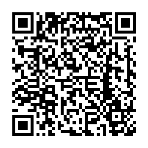 只见白发老者缓缓从着衣服内取出了一枚散发着阵阵璀璨光芒的徽章二维码生成