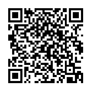 只见皮球抬着几乎就和没有一样的脖子一脸的小舒服模样儿二维码生成