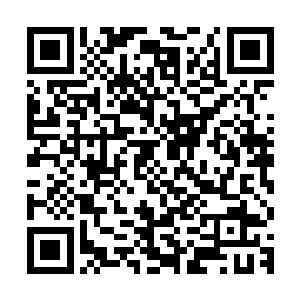 只见菲利普斯的水纹攻击一拨又一拨的撞到了紫明峰的巨龙上面二维码生成